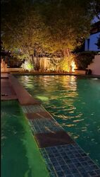 Bukit Timah Road (D10), Detached #498248811